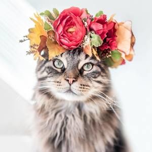 Meet your Posher, Leslie